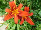 DSC07376