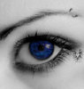 Behind_blue_eyes_by_savemybleedingheart