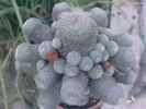 DSC05417