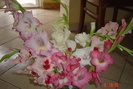 poze noi 627