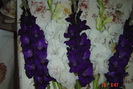 poze noi 629