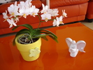 NE RUGAM SA NU II CADA FLORILE:))