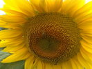 09072010301