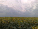 09072010302