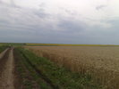 09072010306
