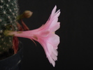 DSC09967