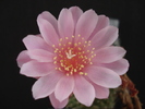 DSC09970