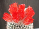 DSC09876