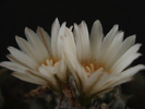 DSC09891