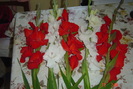 poze noi 645