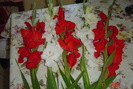 poze noi 646