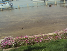 DSC04104
