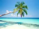 Peisaje_Wallpapers_Poze_Desktop_Palmieri_si_Apa_Albastra_in_Maldive_Wallpaper_Litoral