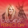 album-perfect-day