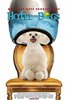 Hotel-for-Dogs-401483-158