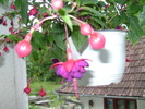 foto 097