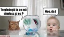 poza-amuzanta-poze-amuzante-pisica-si-bebelusul