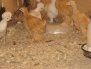 DSC06741