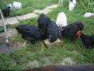 DSC06754
