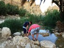 el mouradi sahara 569