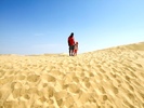 el mouradi sahara 696