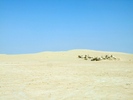 el mouradi sahara 658