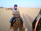 el mouradi sahara 1198