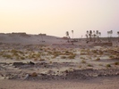 el mouradi sahara 1195