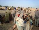 el mouradi sahara 1174