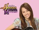 miley (586)