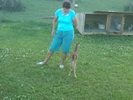 bamby cu domna lui costel
