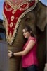 alex-upset-the-elephant-princess-5824620-80-120