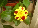foto2