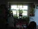 stefi 021
