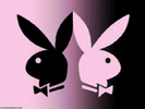 PlayBoy-bunny-playboy-5935209-800-600