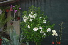 poze noi 691