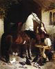 Feeding-The-Arab