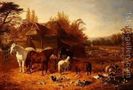 The-Farmyard-With-Horses,-Ponies,-Berkshire-Saddle-Backs,-Alderney-Shorthorn-Cattle-And-Poultry
