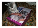 DSCF8526felix