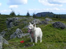 DSCF0227