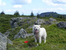 DSCF0228