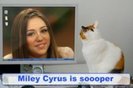 miley cyrus TV