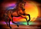 21_firelite2_Pic