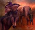 22_WildBreed_Pic