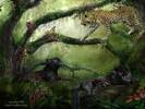 104_GrowingWild_Pic