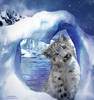 Carol Cavalaris Spirit Of The Wild - 97_HeartWarmer_Pic-784870