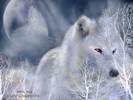 Carol Cavalaris Spirit Of The Wild - 102_WhiteWolf_Pic-790306