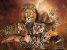 Carol Cavalaris Spirit Of The Wild - 103_CatPower_Pic-790708