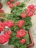 11 iulie 022