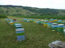 DSCF2703